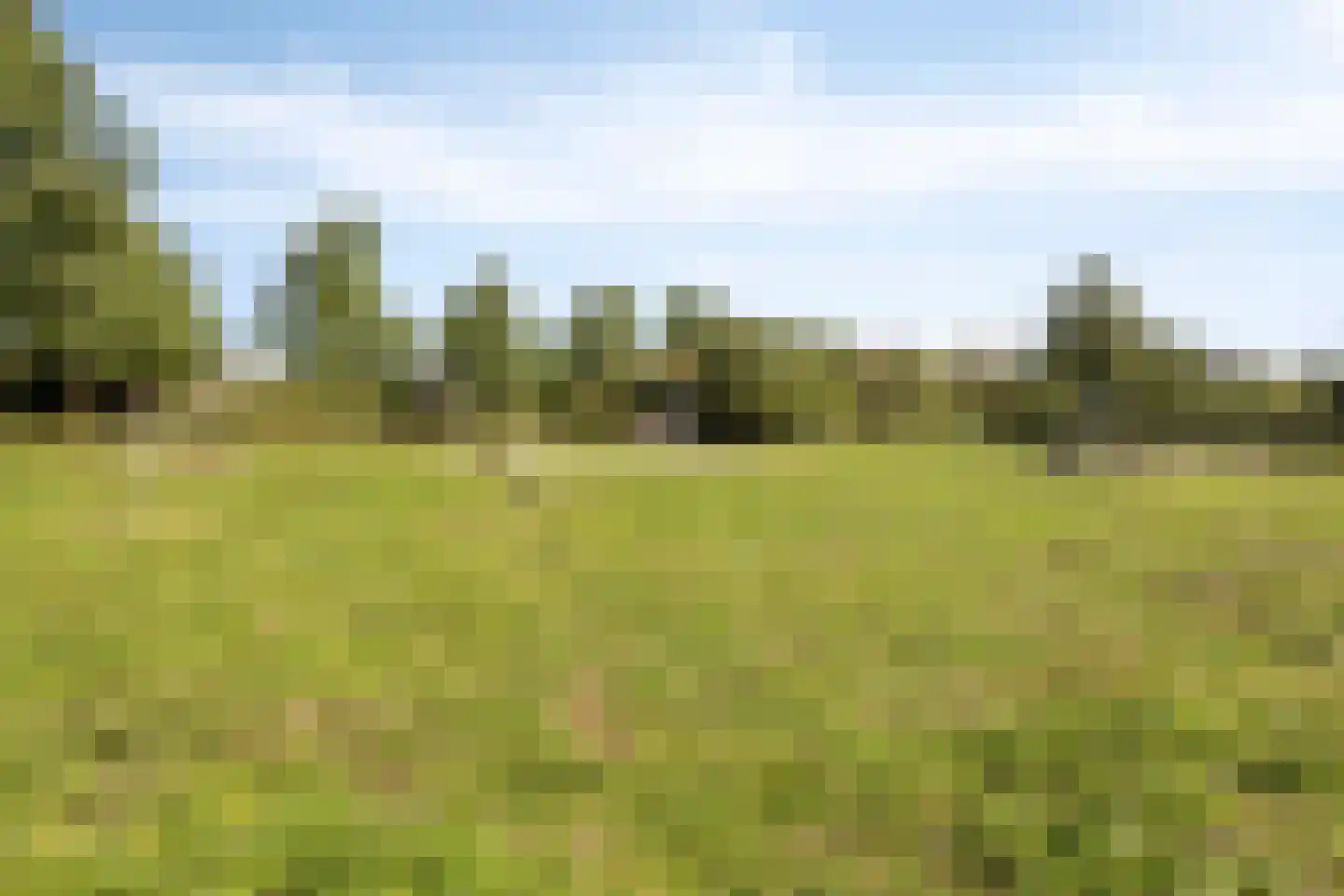 Bosven 77 Veghel thumbnail 44