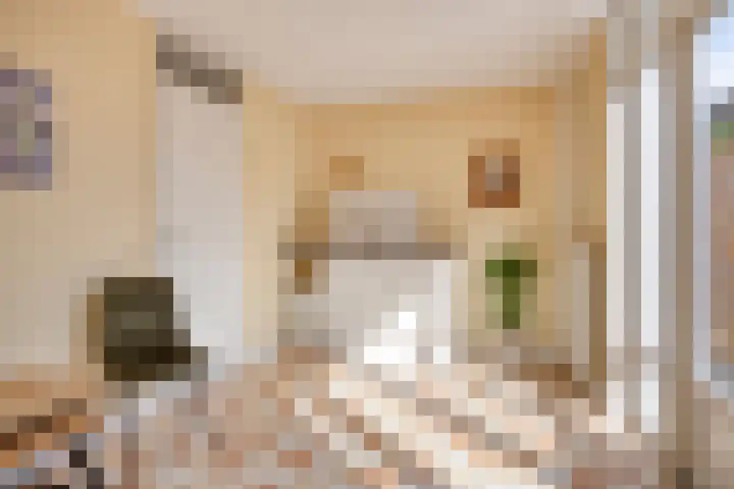 Bosven 77 Veghel thumbnail 9