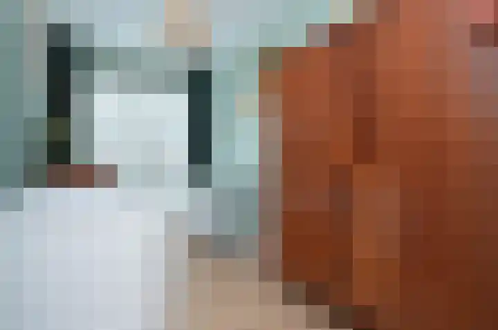Bosven 92 Deurne thumbnail 15