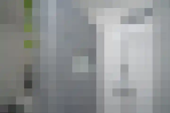 Bosven 92 Deurne thumbnail 17