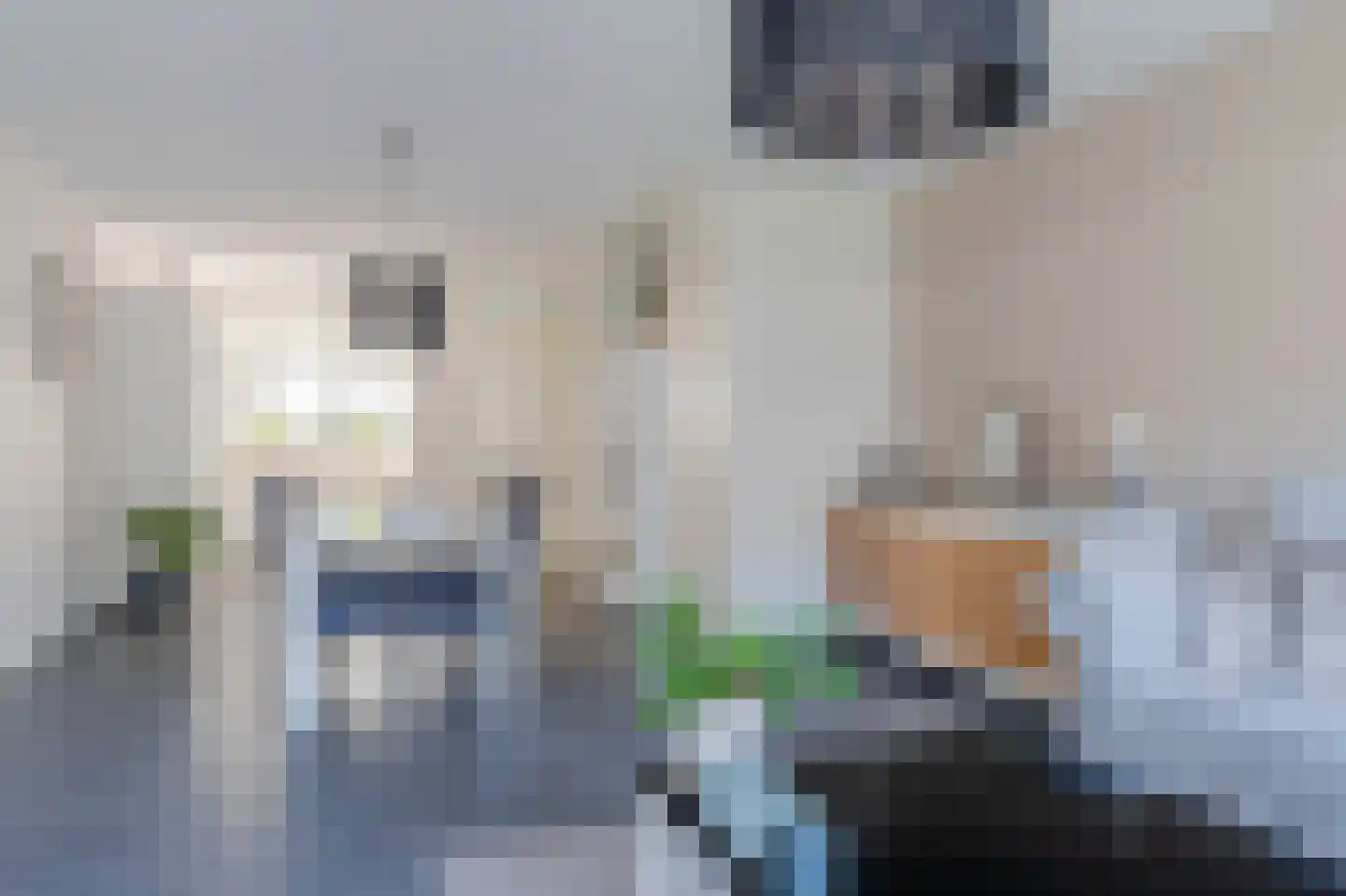 Bosven 98 Deurne thumbnail 11