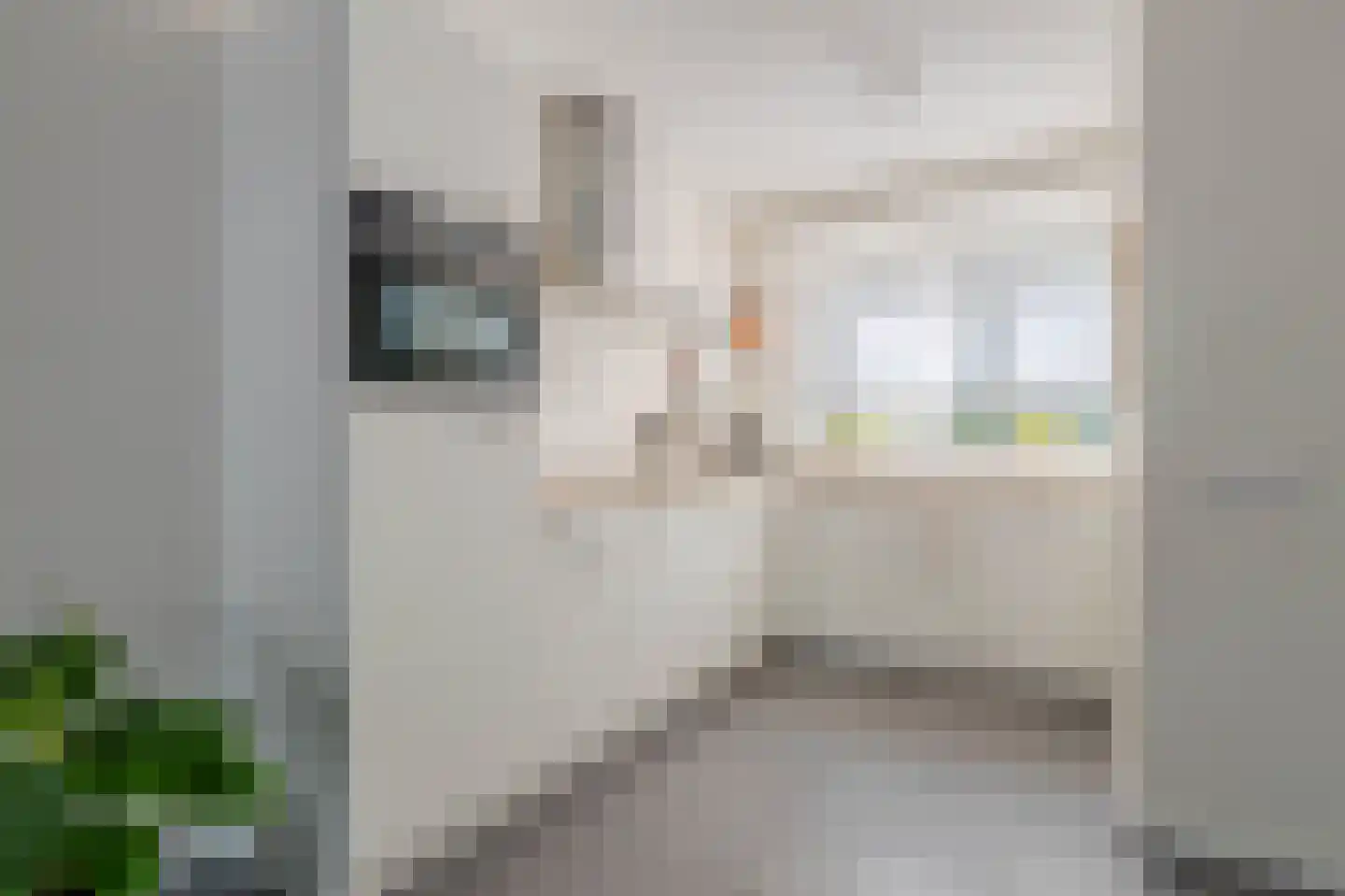Bosven 98 Deurne thumbnail 13