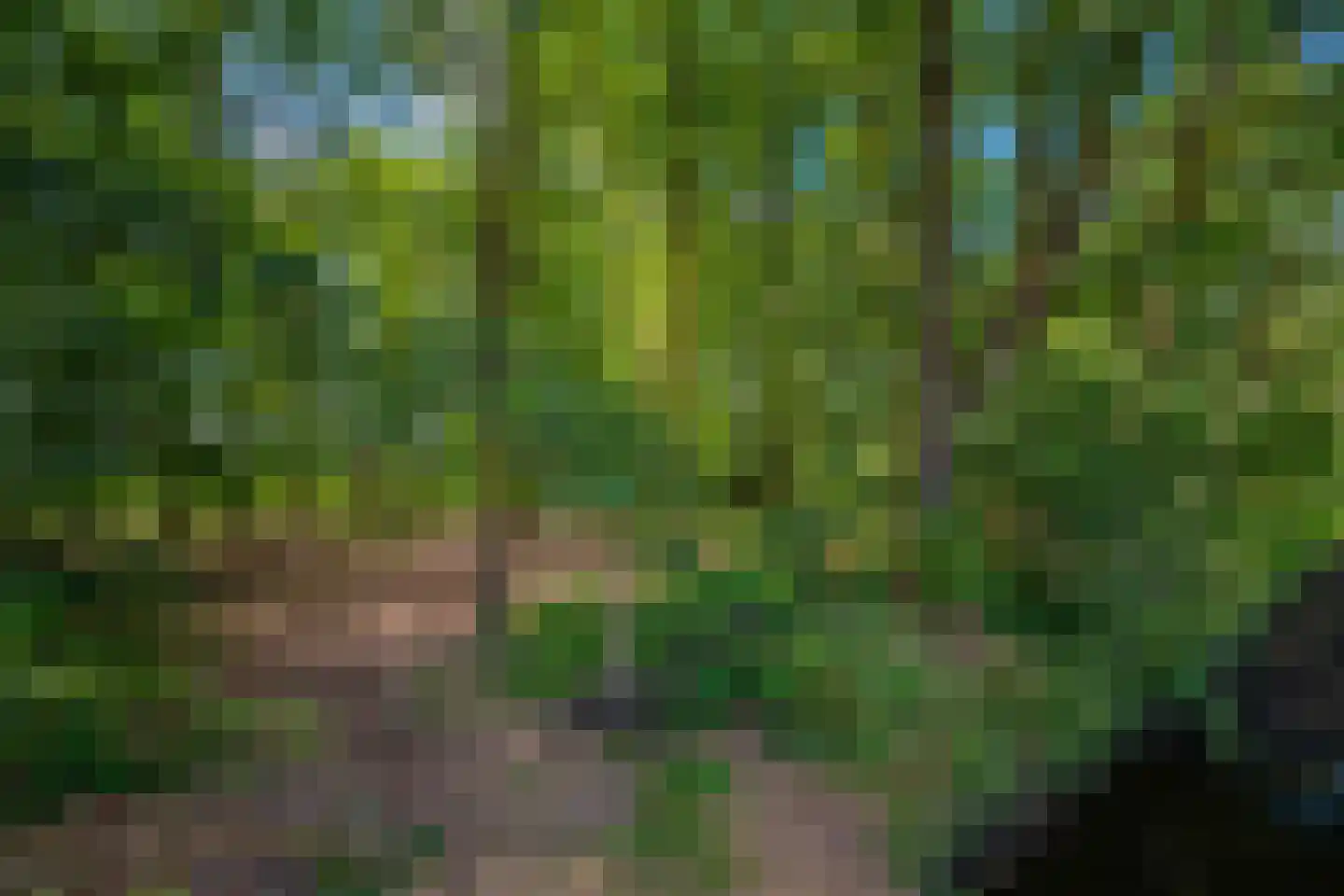 Bosven 98 Deurne thumbnail 41