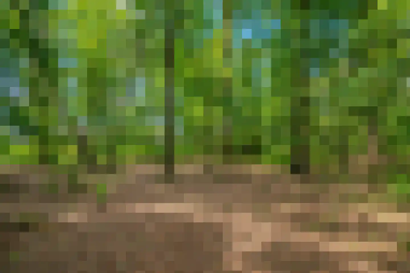 Bosven 98 Deurne thumbnail 42