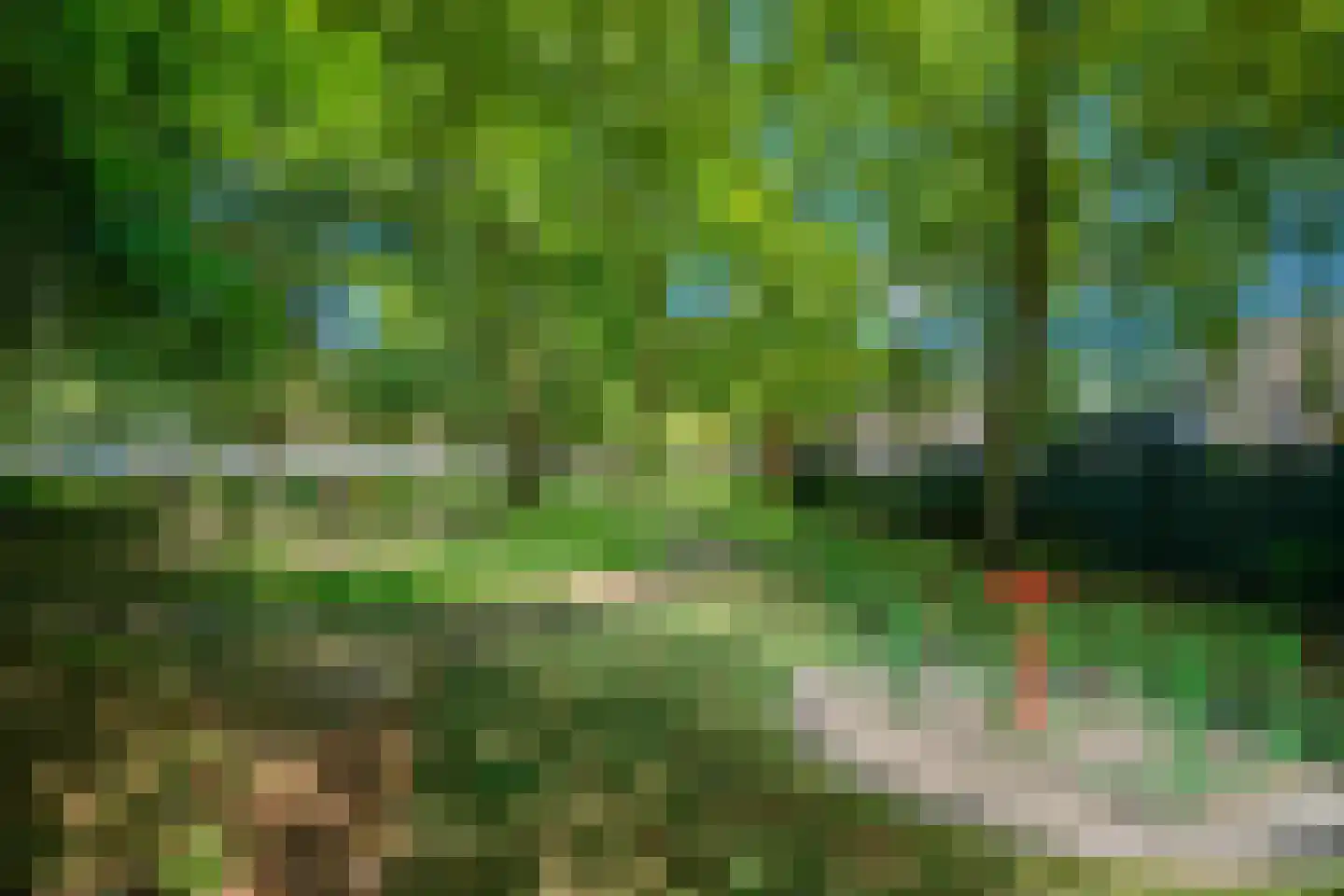 Bosven 98 Deurne thumbnail 43