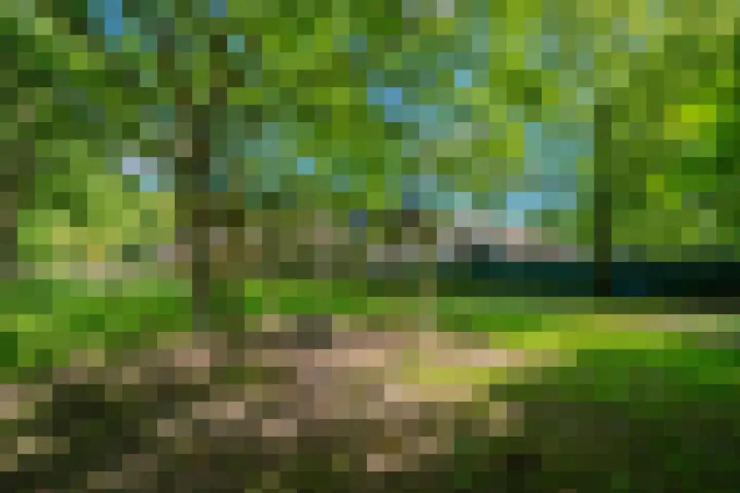 Bosven 98 Deurne thumbnail 44