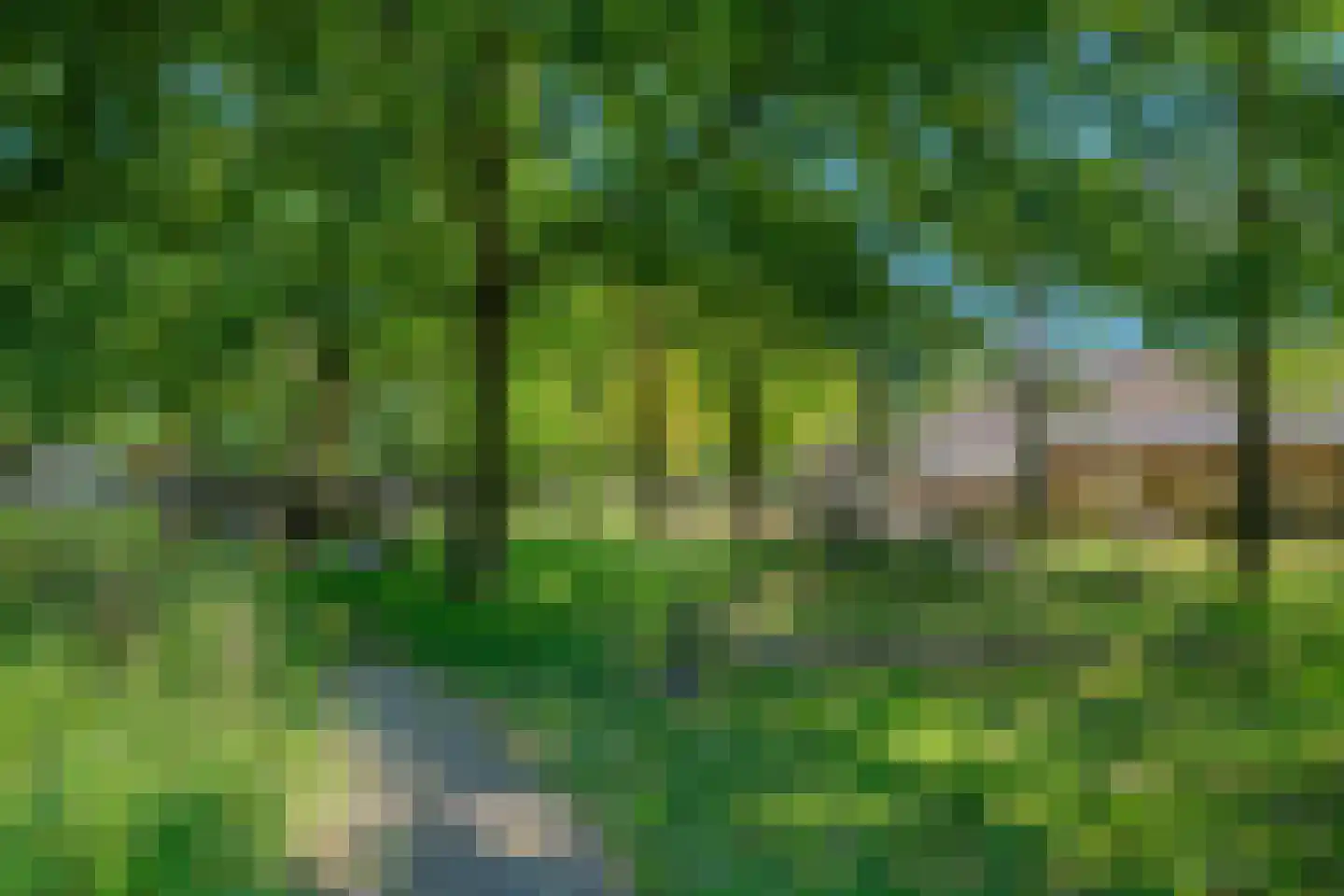 Bosven 98 Deurne thumbnail 47