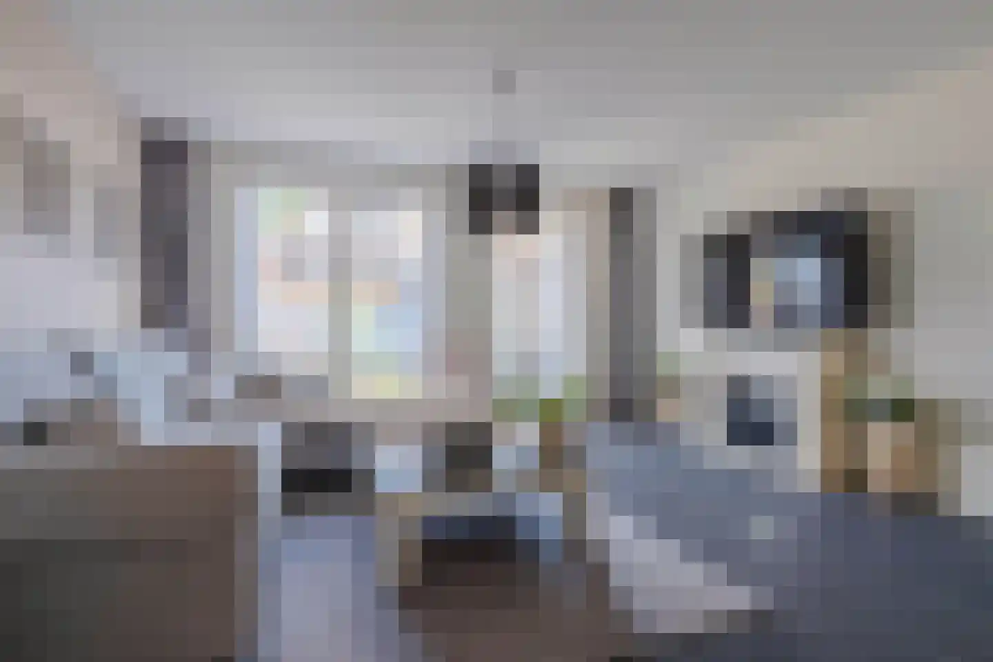Bosven 98 Deurne thumbnail 9