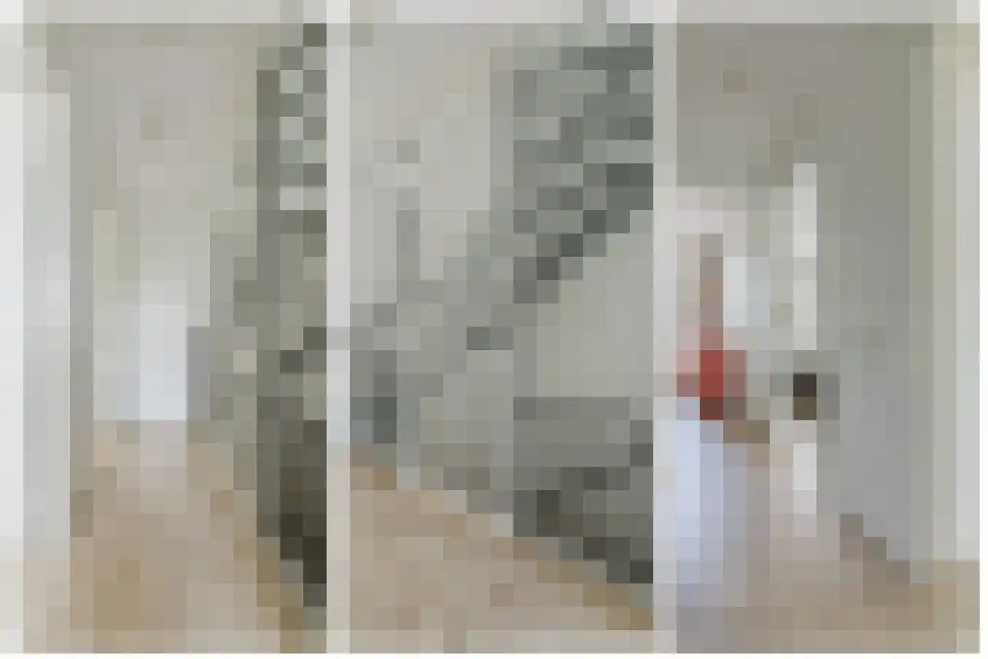 Boswachter Neefsstraat 5 Rijsbergen thumbnail 23