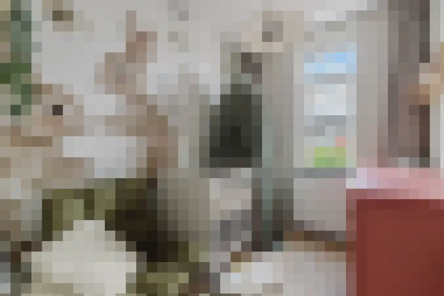 Boswachter Neefsstraat 5 Rijsbergen thumbnail 29
