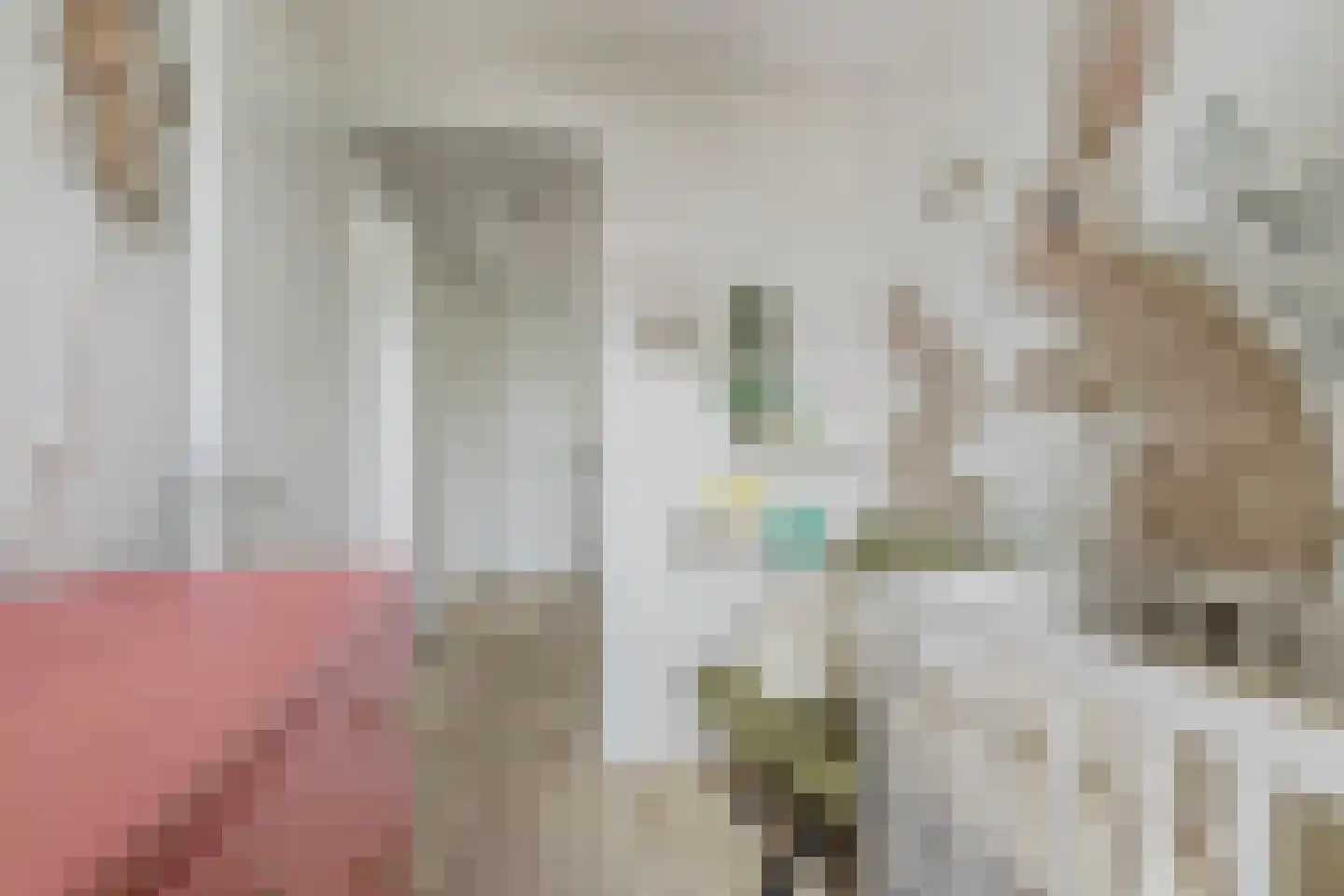 Boswachter Neefsstraat 5 Rijsbergen thumbnail 30