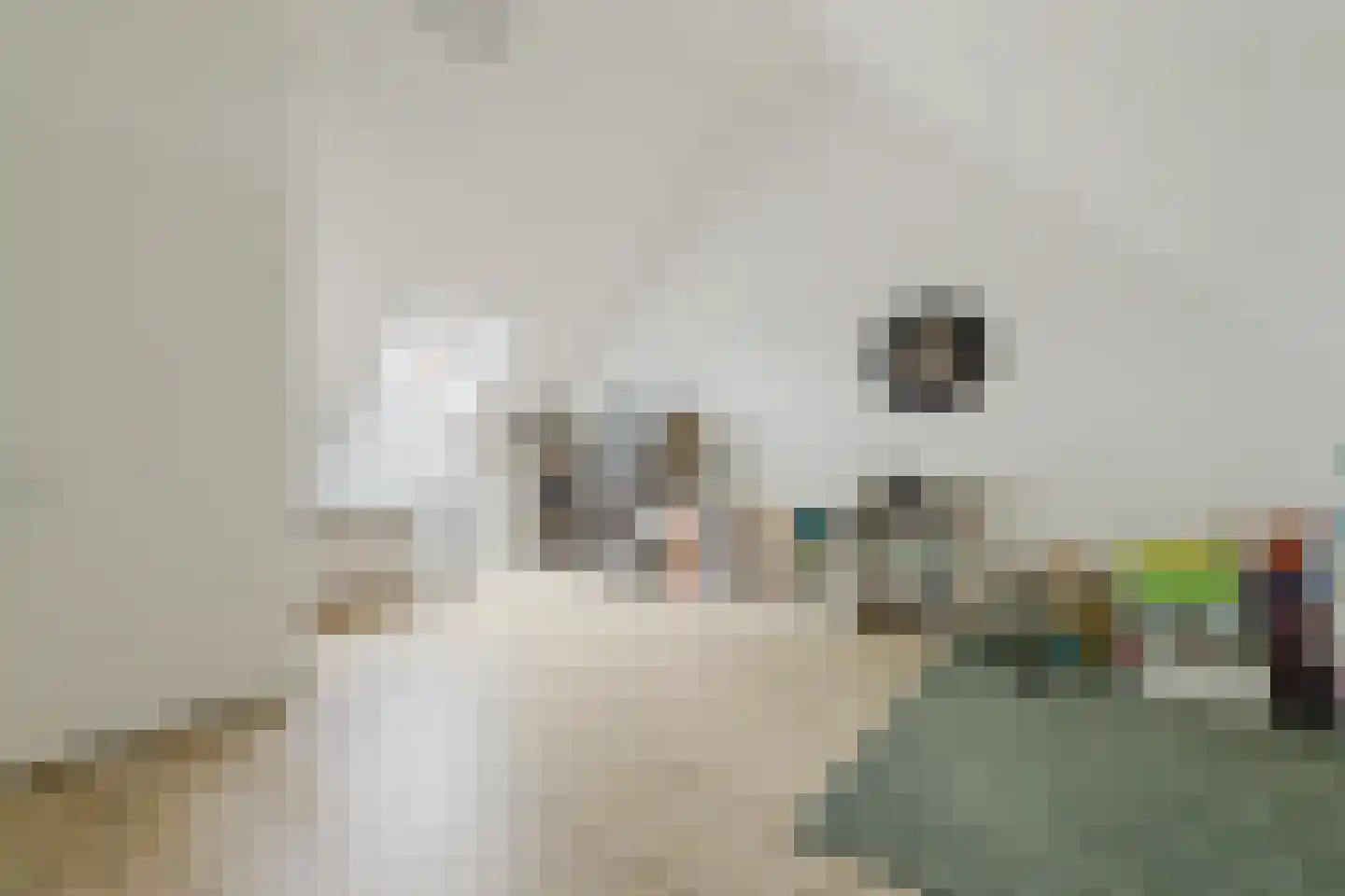 Boswachter Neefsstraat 5 Rijsbergen thumbnail 35
