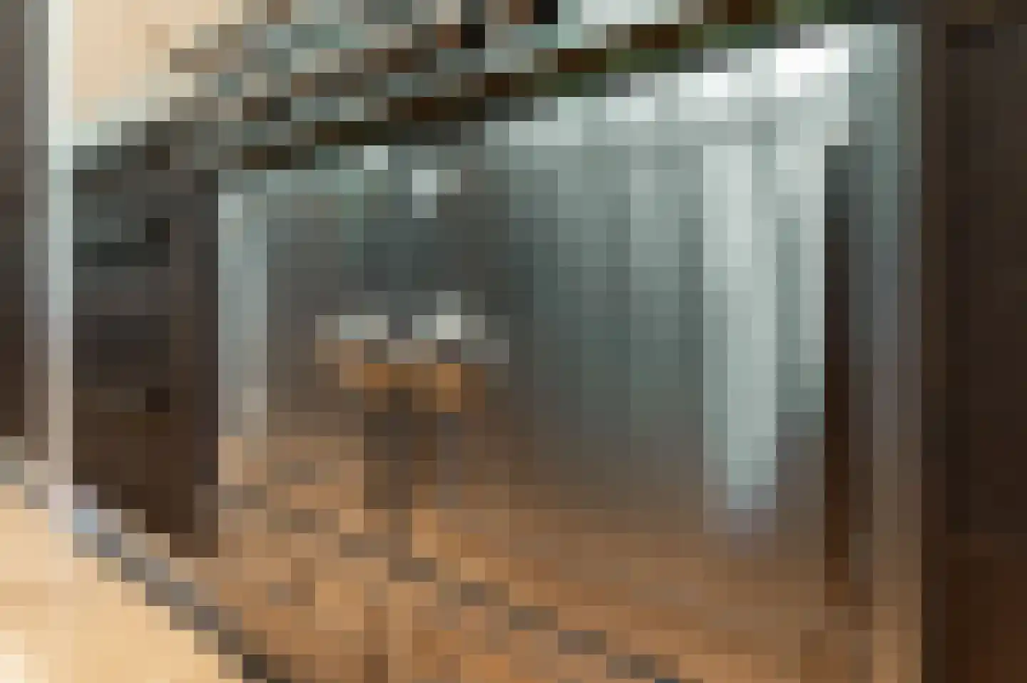 Boswachtersdreef 27 Nispen thumbnail 11