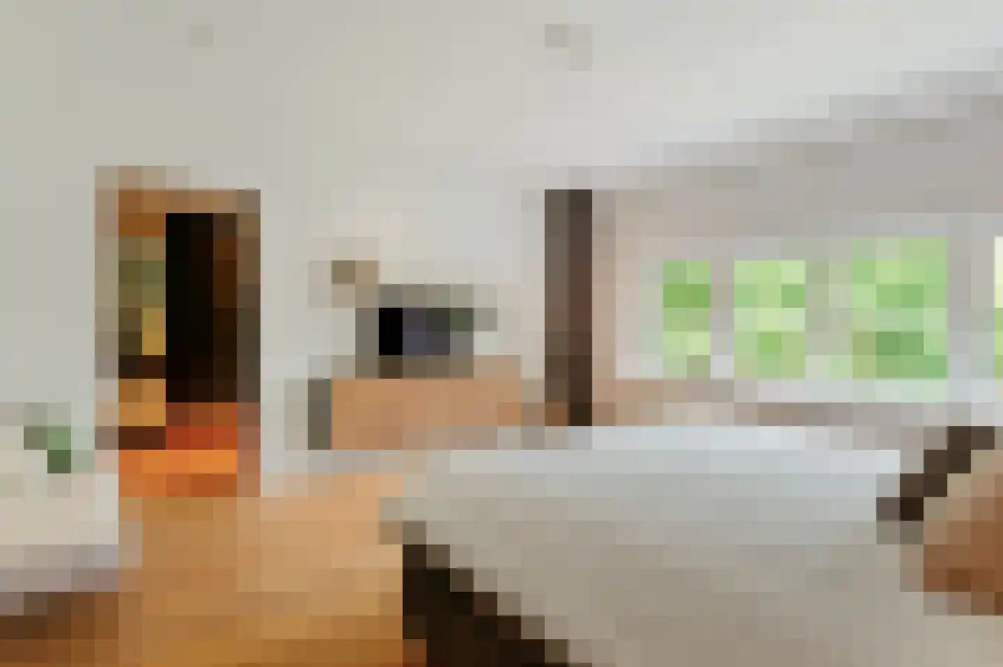 Boswachtersdreef 27 Nispen thumbnail 20
