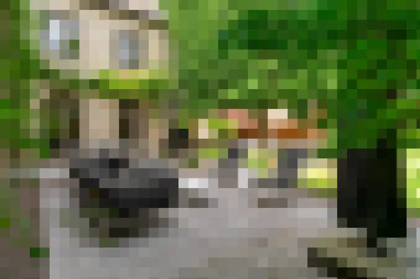 Boswachtersdreef 27 Nispen thumbnail 4