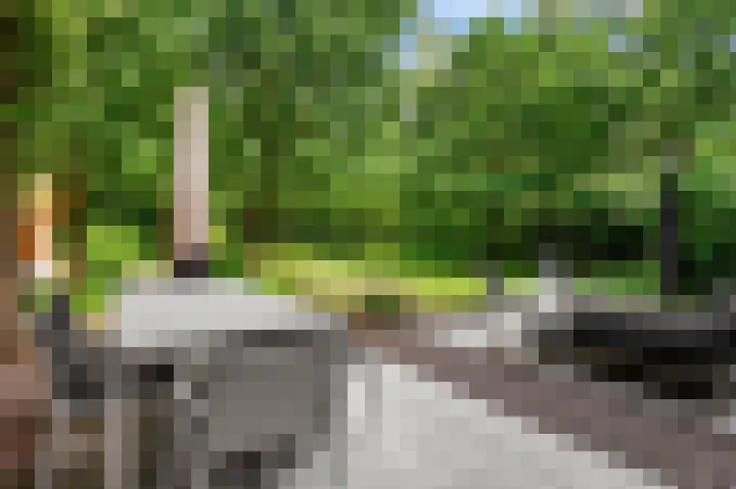 Boswachtersdreef 27 Nispen thumbnail 41