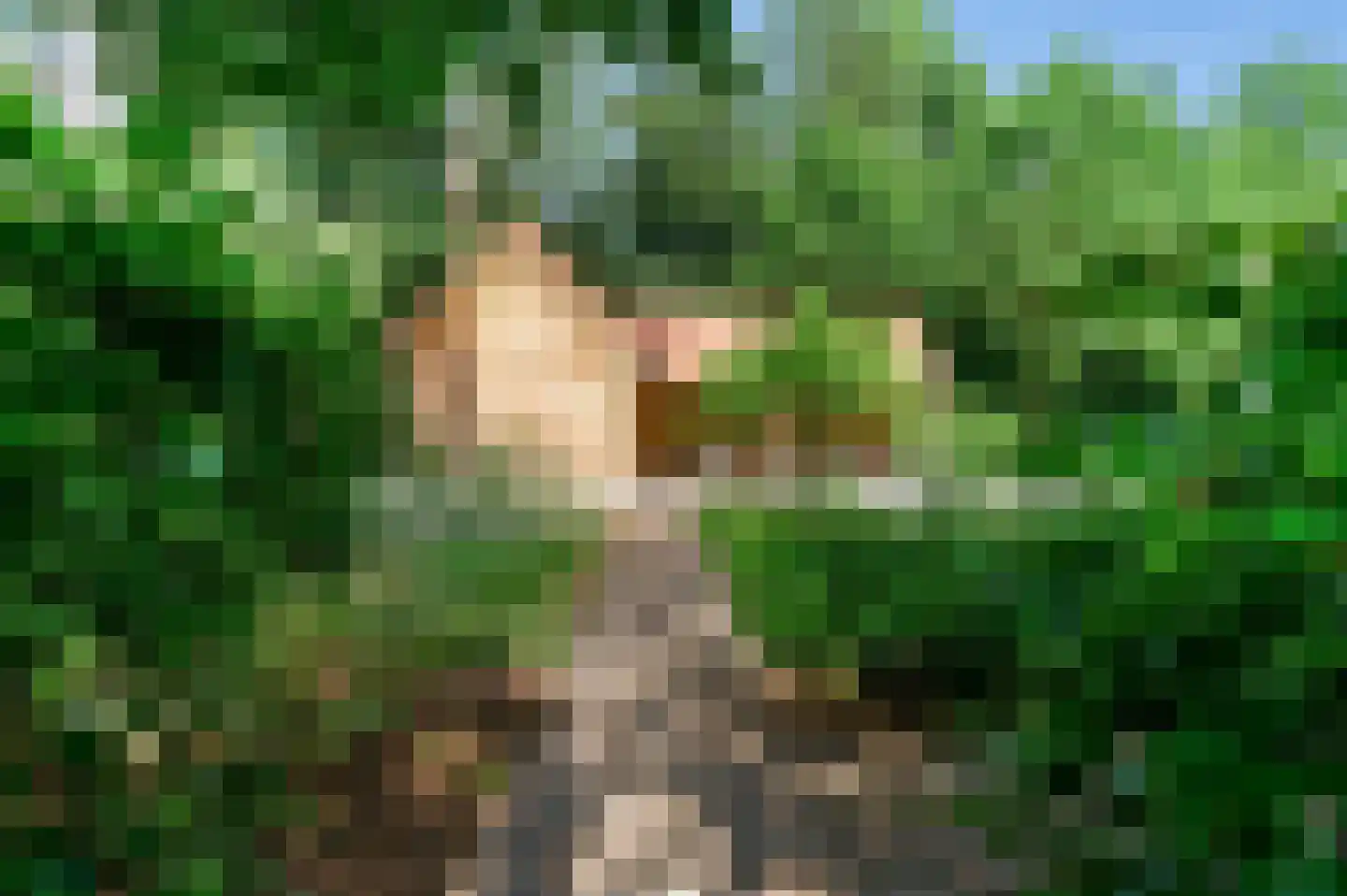 Boswachtersdreef 27 Nispen thumbnail 43