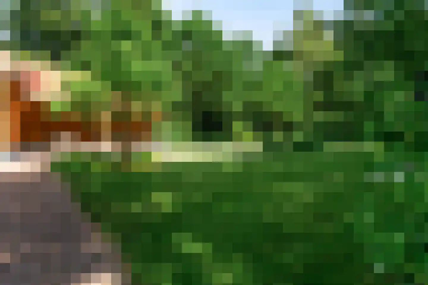 Boswachtersdreef 27 Nispen thumbnail 44