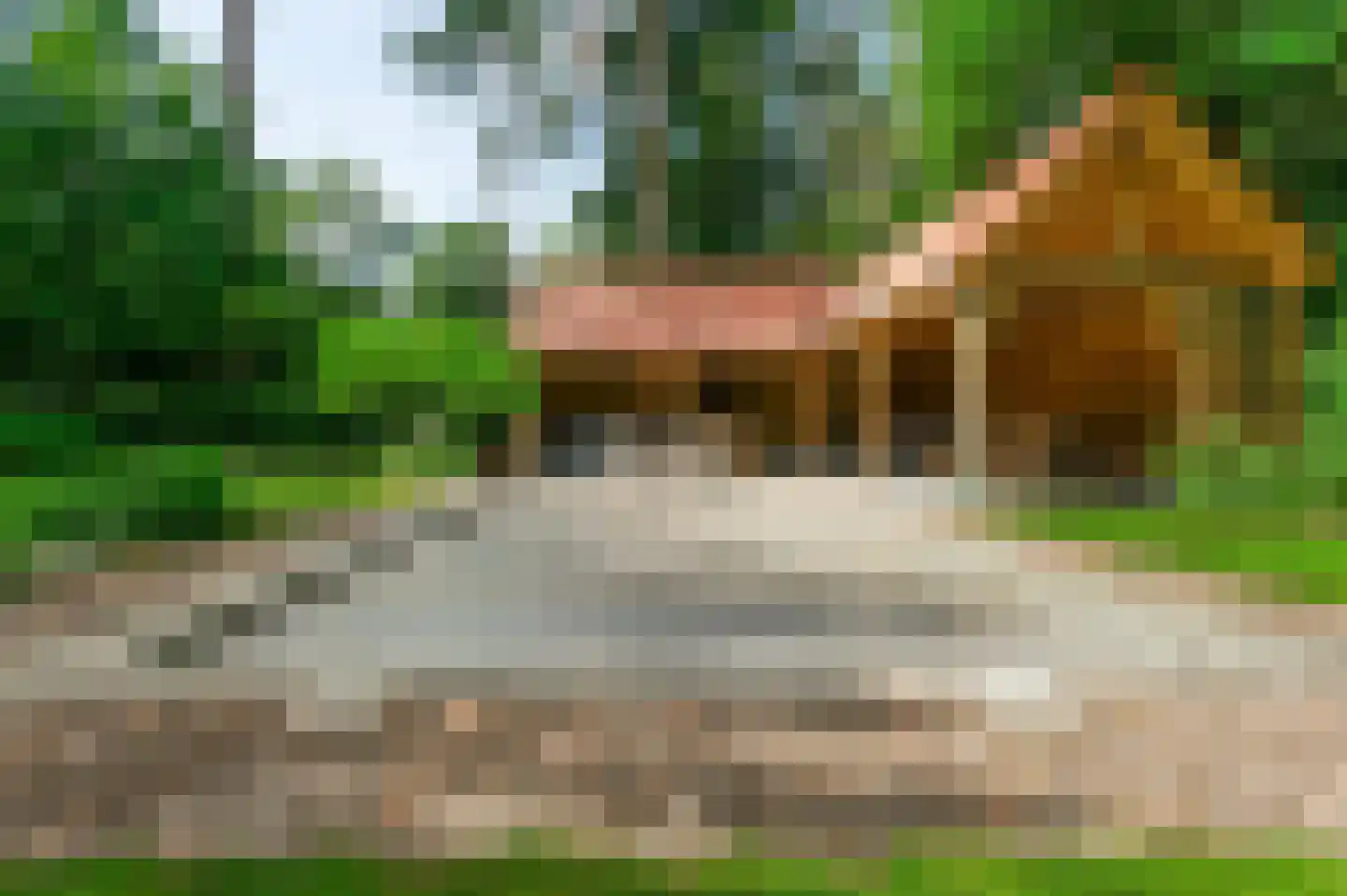 Boswachtersdreef 27 Nispen thumbnail 45