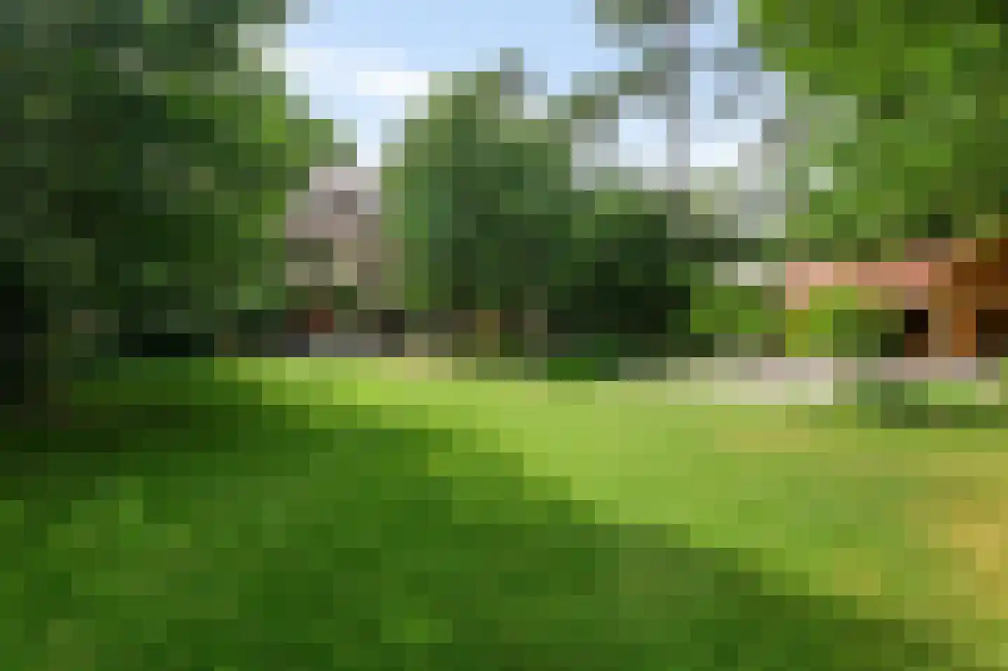 Boswachtersdreef 27 Nispen thumbnail 48