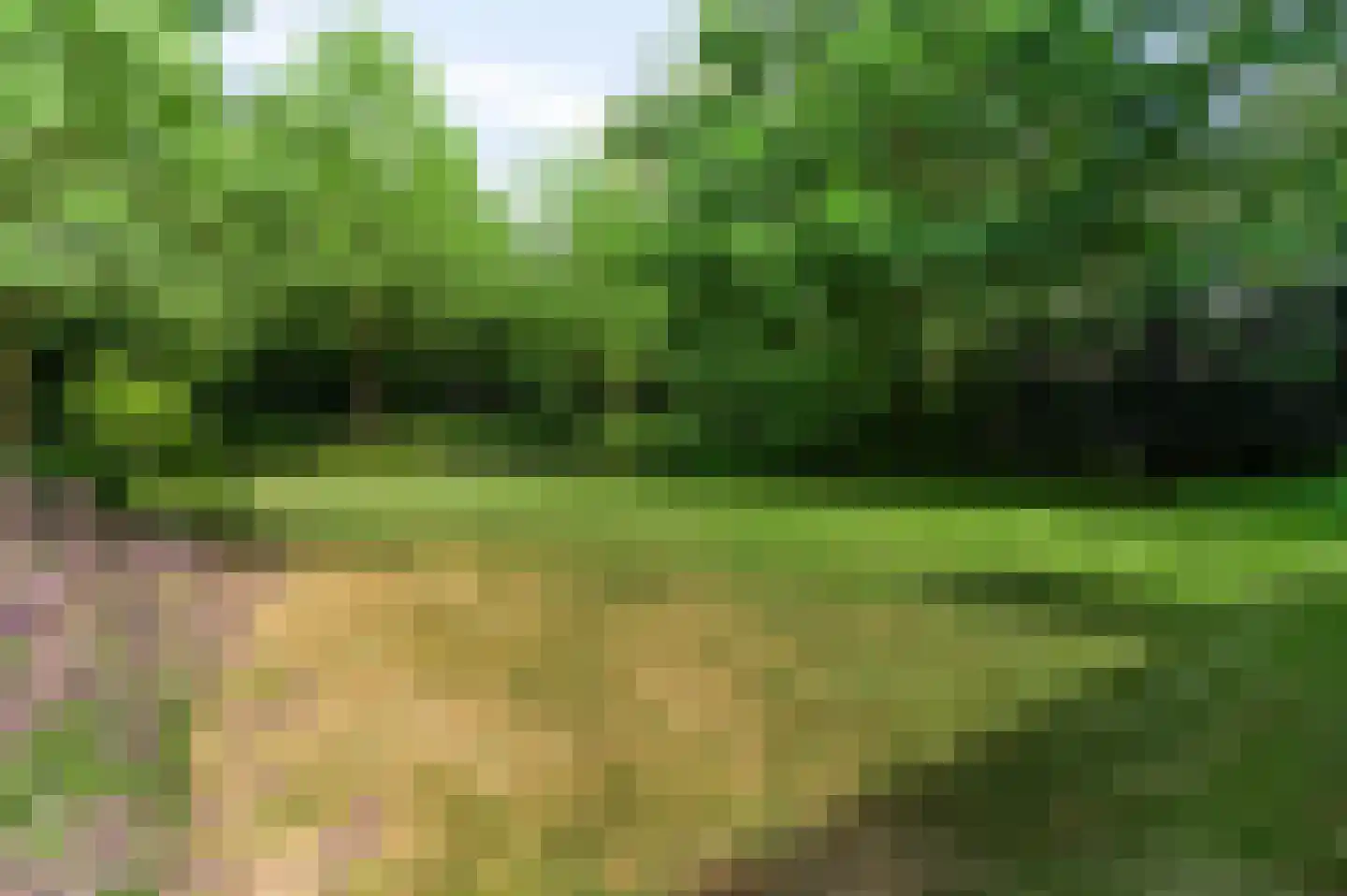 Boswachtersdreef 27 Nispen thumbnail 49