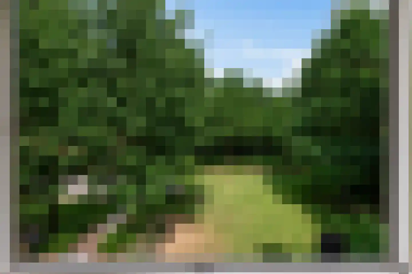 Boswachtersdreef 27 Nispen thumbnail 50