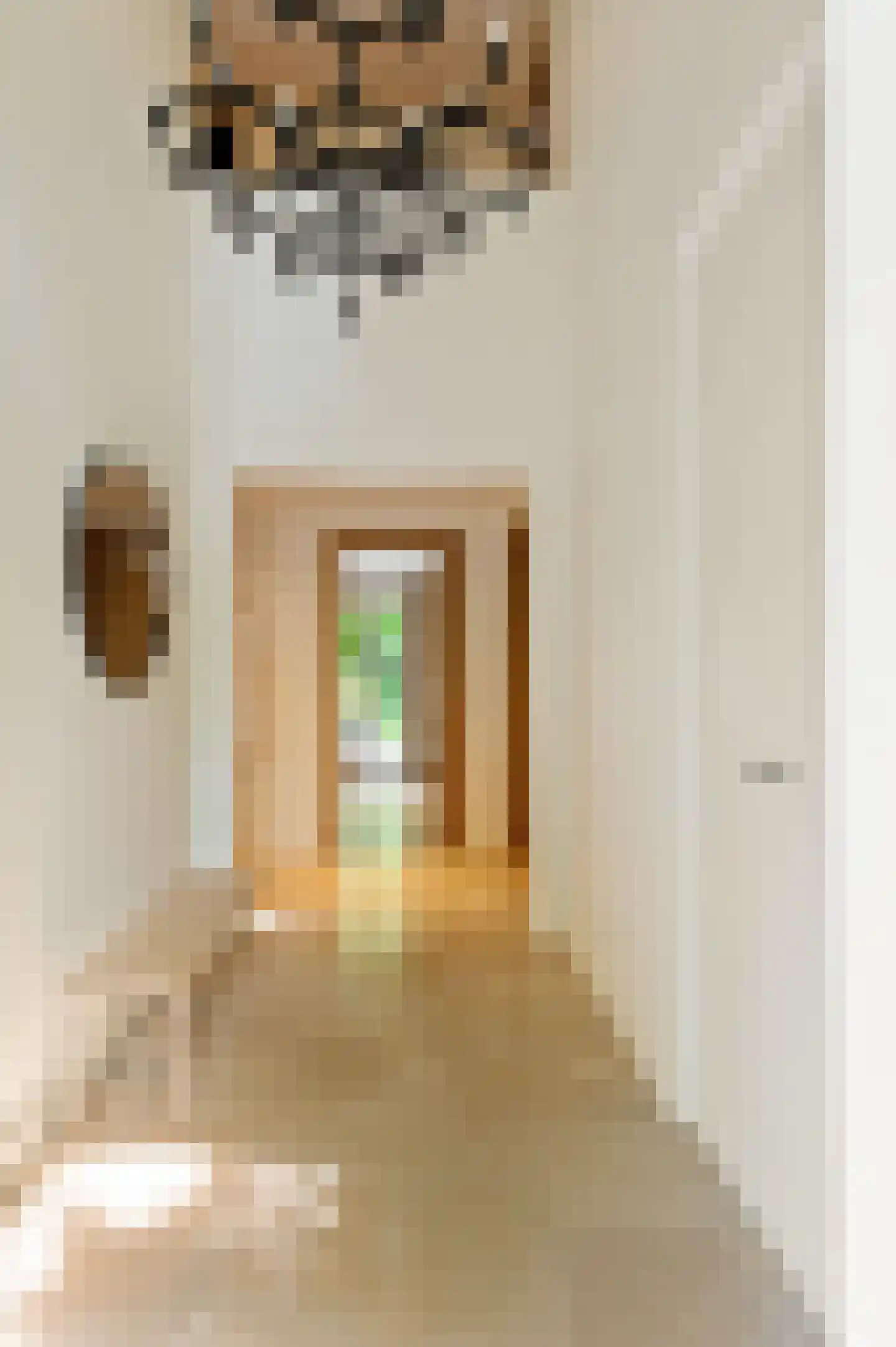 Boswachtersdreef 27 Nispen thumbnail 8