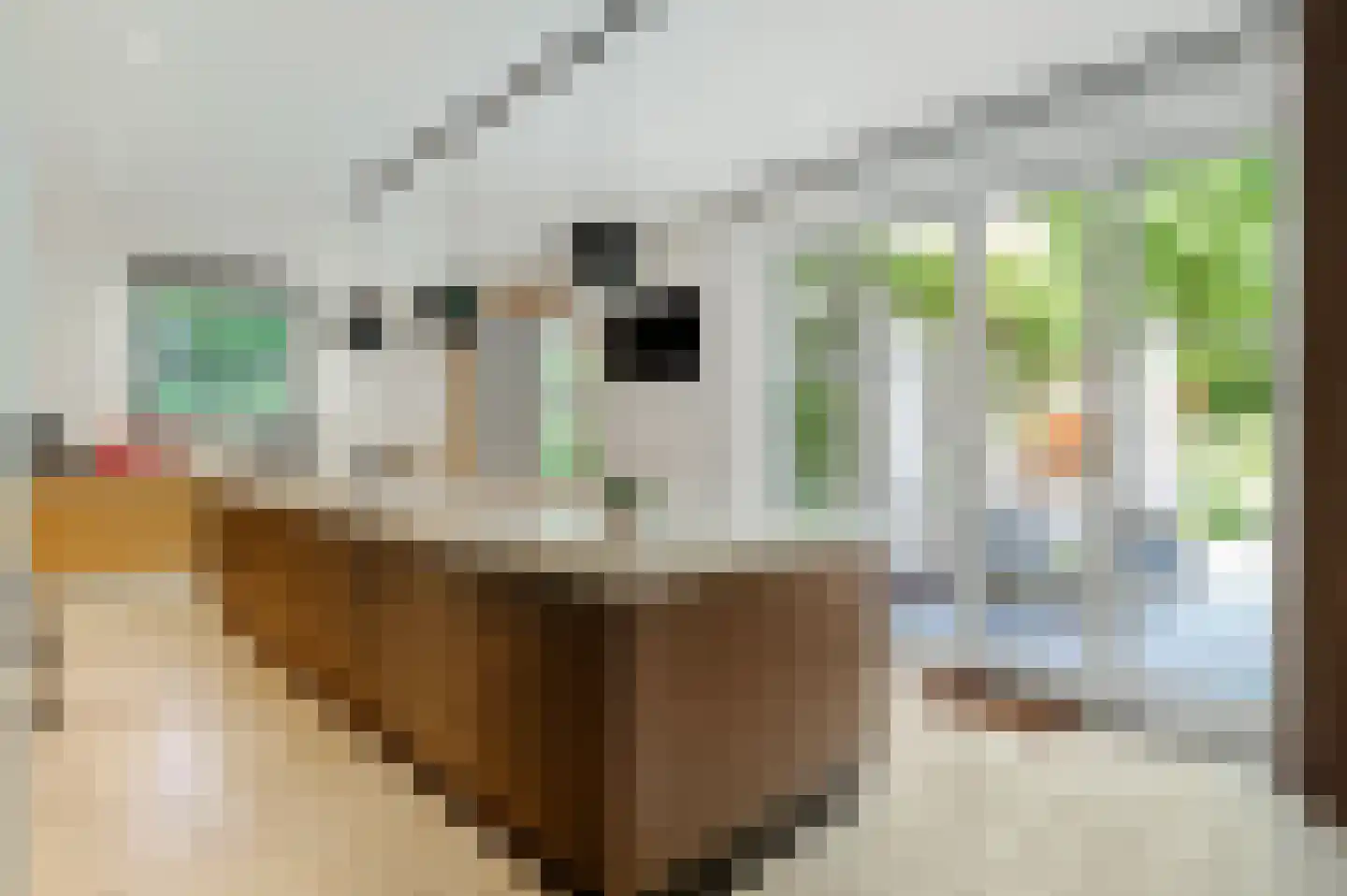 Boswachtersdreef 27 Nispen thumbnail 9