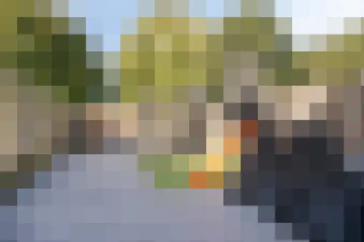 Boswachtersveld 211 Apeldoorn thumbnail 19