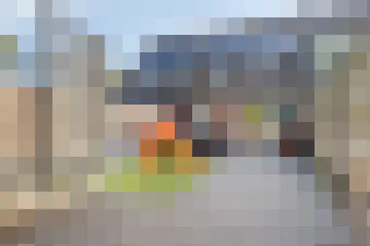 Boswachtersveld 211 Apeldoorn thumbnail 20