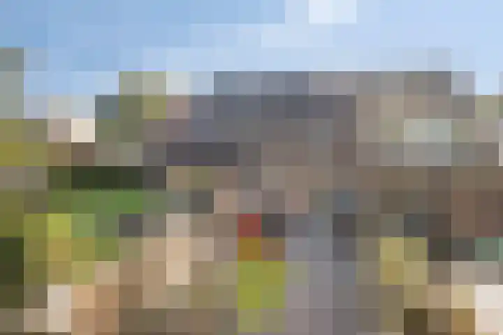 Boswachtersveld 211 Apeldoorn thumbnail 21