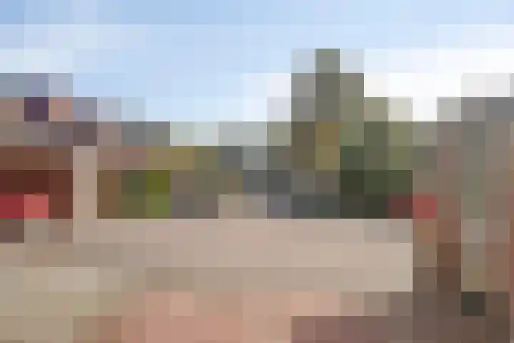 Boswachtersveld 211 Apeldoorn thumbnail 23