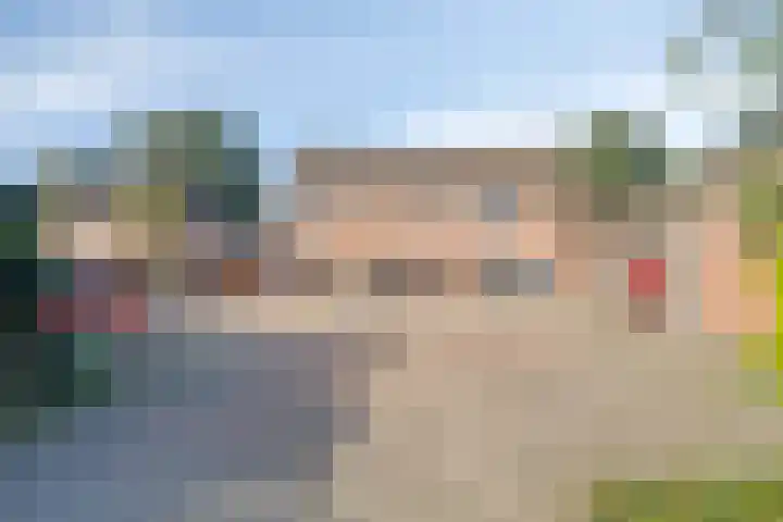 Boswachtersveld 211 Apeldoorn thumbnail 24