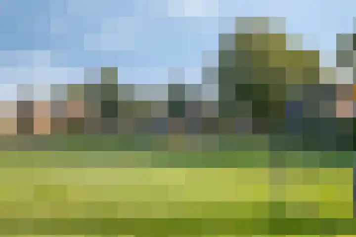 Boswachtersveld 211 Apeldoorn thumbnail 29
