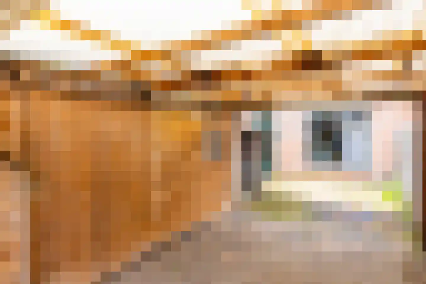 Boswachtersveld 303 Apeldoorn thumbnail 25