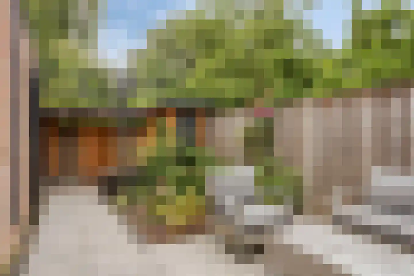 Boswachtersveld 326 Apeldoorn thumbnail 29