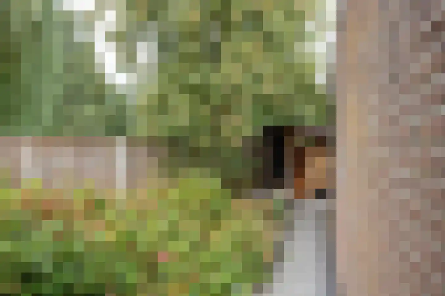 Boswachtersveld 326 Apeldoorn thumbnail 31