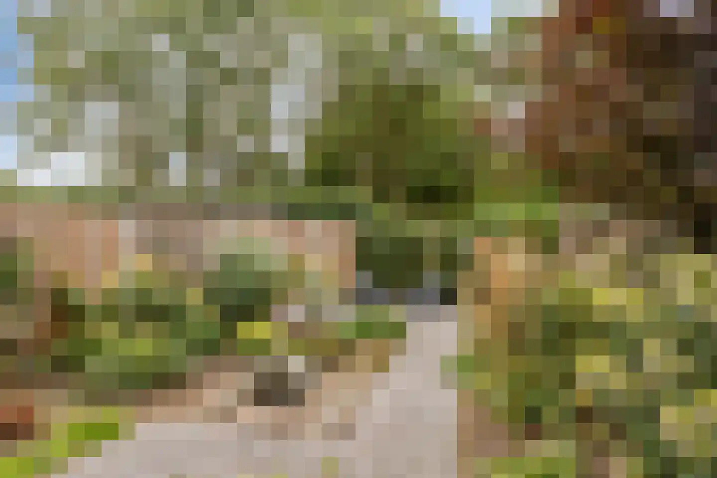 Boswachtersveld 326 Apeldoorn thumbnail 35