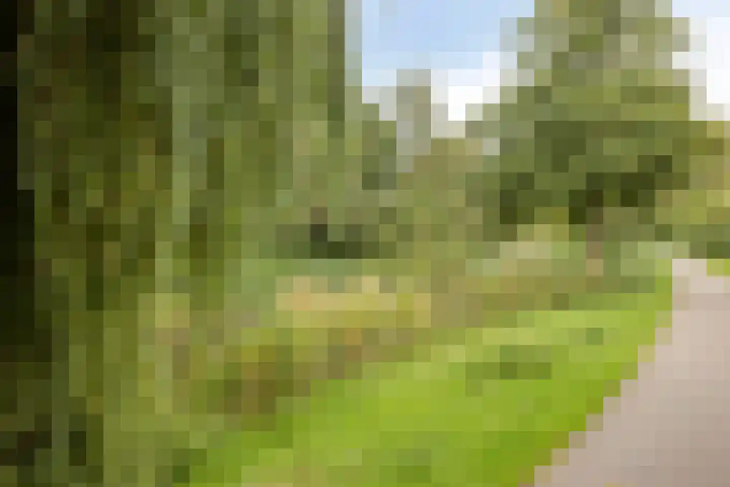 Boswachtersveld 326 Apeldoorn thumbnail 46