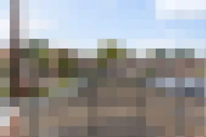 Boswachtersveld 337 Apeldoorn thumbnail 21