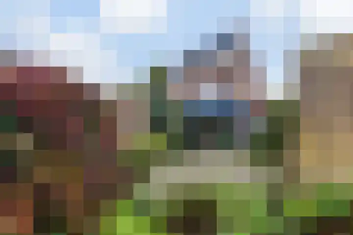 Boswachtersveld 337 Apeldoorn thumbnail 29