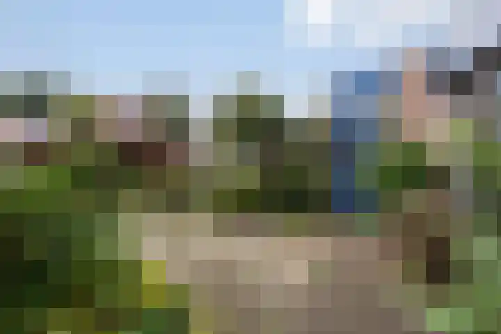 Boswachtersveld 337 Apeldoorn thumbnail 30