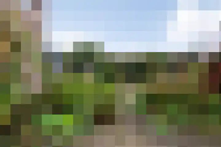Boswachtersveld 337 Apeldoorn thumbnail 31