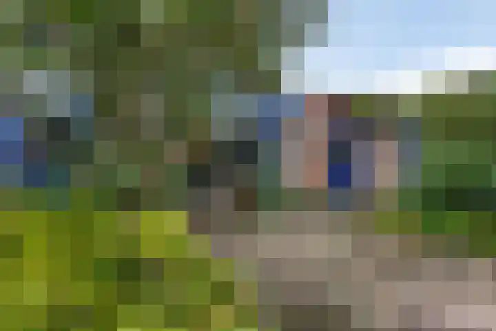 Boswachtersveld 337 Apeldoorn thumbnail 32