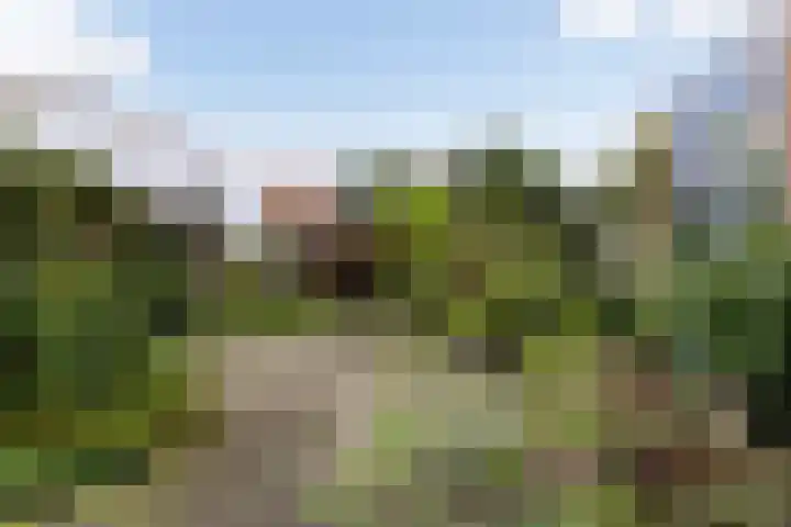 Boswachtersveld 337 Apeldoorn thumbnail 33