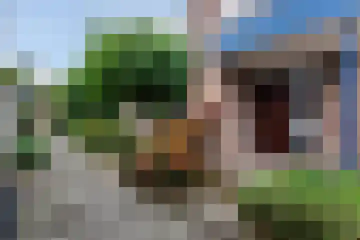 Boswachtersveld 337 Apeldoorn thumbnail 34