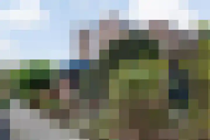 Boswachtersveld 337 Apeldoorn thumbnail 35