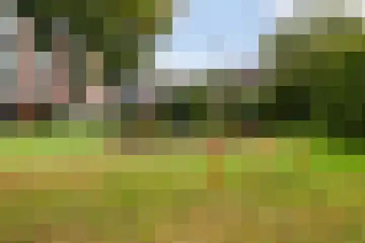 Boswachtersveld 337 Apeldoorn thumbnail 36