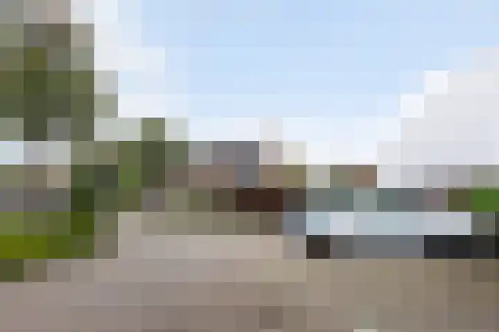 Boswachtersveld 337 Apeldoorn thumbnail 37