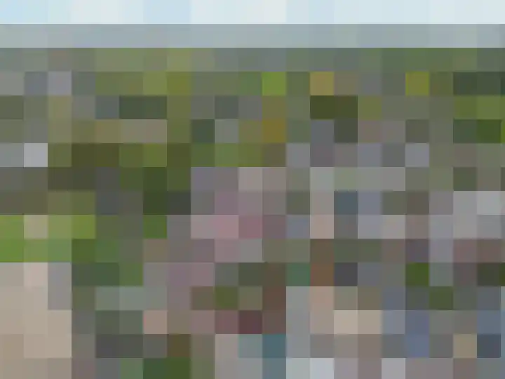 Boswachtersveld 337 Apeldoorn thumbnail 38
